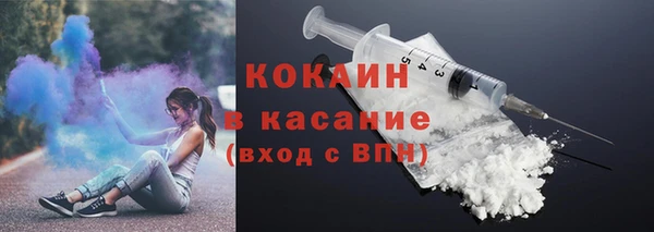 сатива Новодвинск