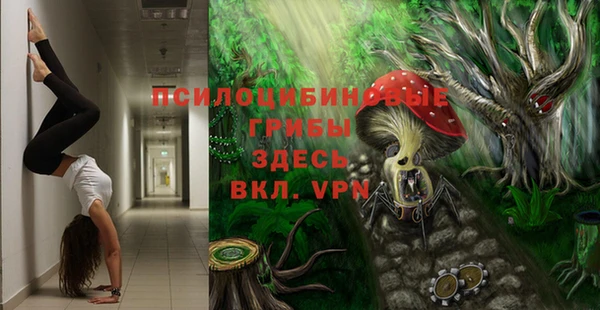 ALPHA PVP Алексин