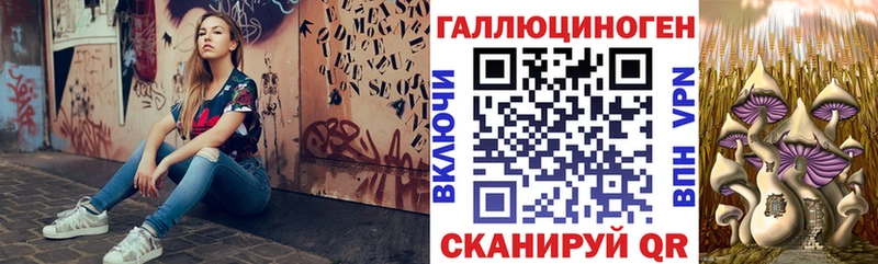 Псилоцибиновые грибы мицелий  купить наркотик  Козловка 